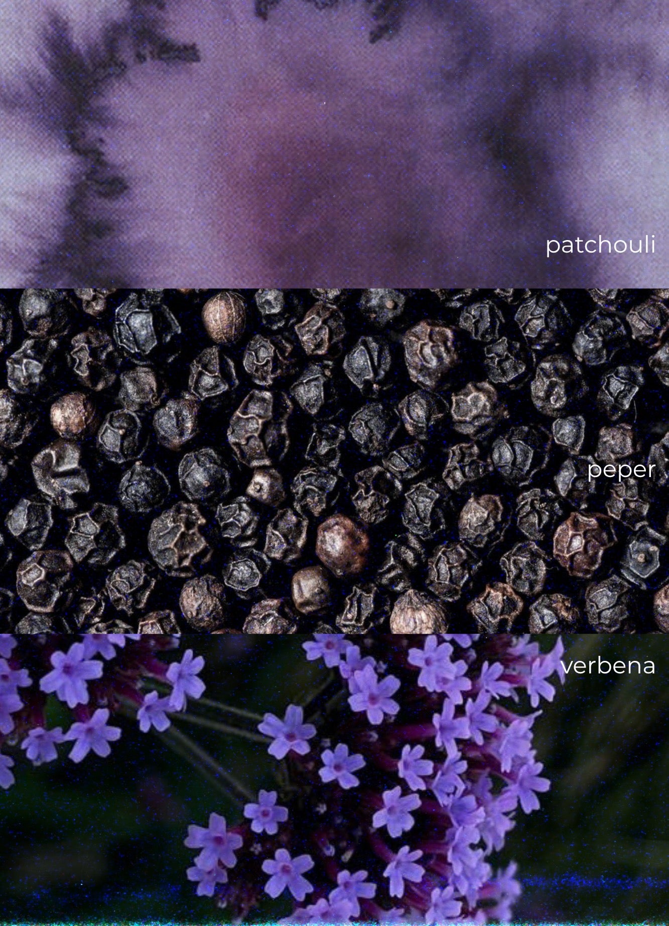 Roomspray | Nyra | Verbena · Black Peper · Patchouli