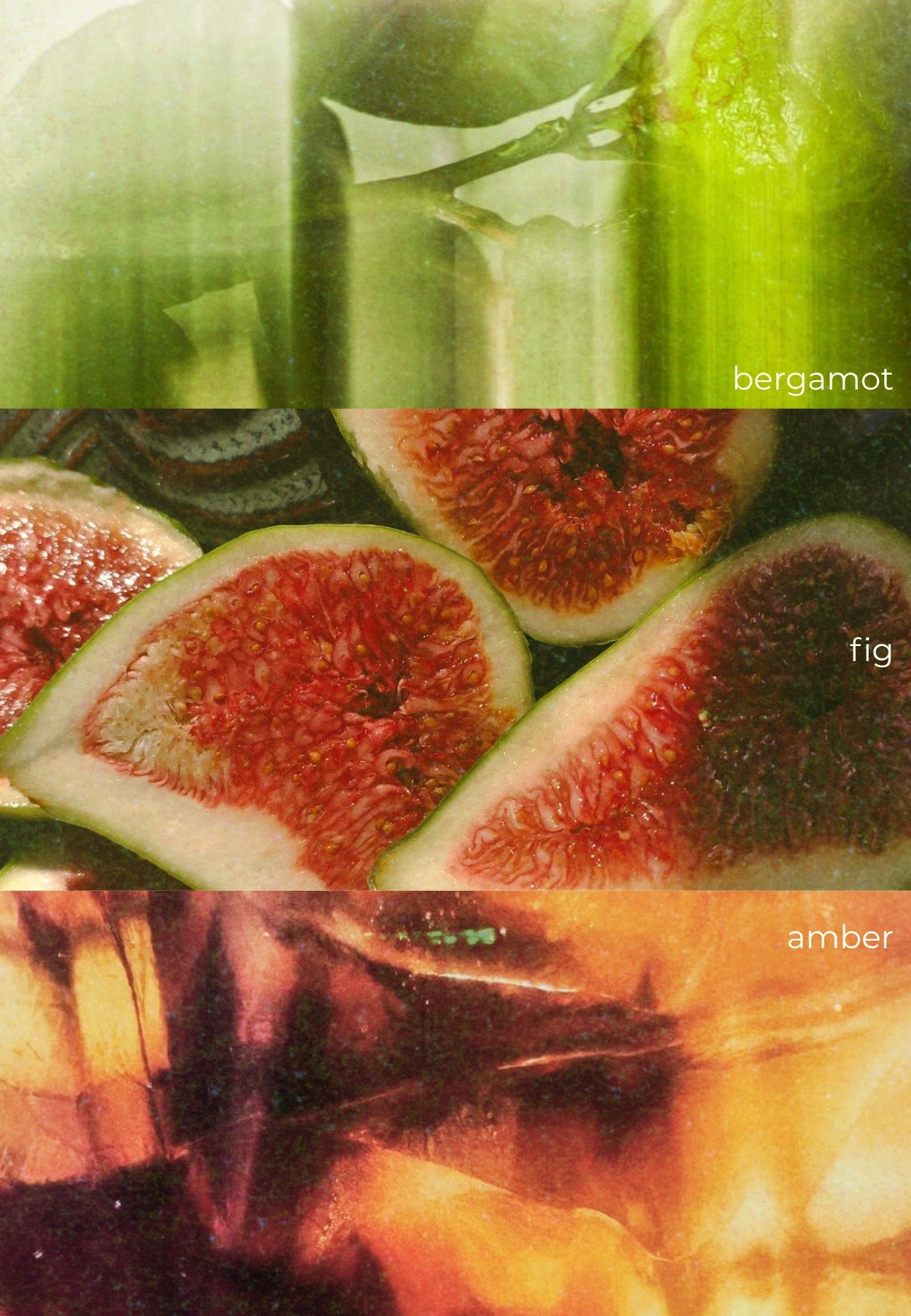 Roomspray | Odèa | Bergamot · Amber · Fig
