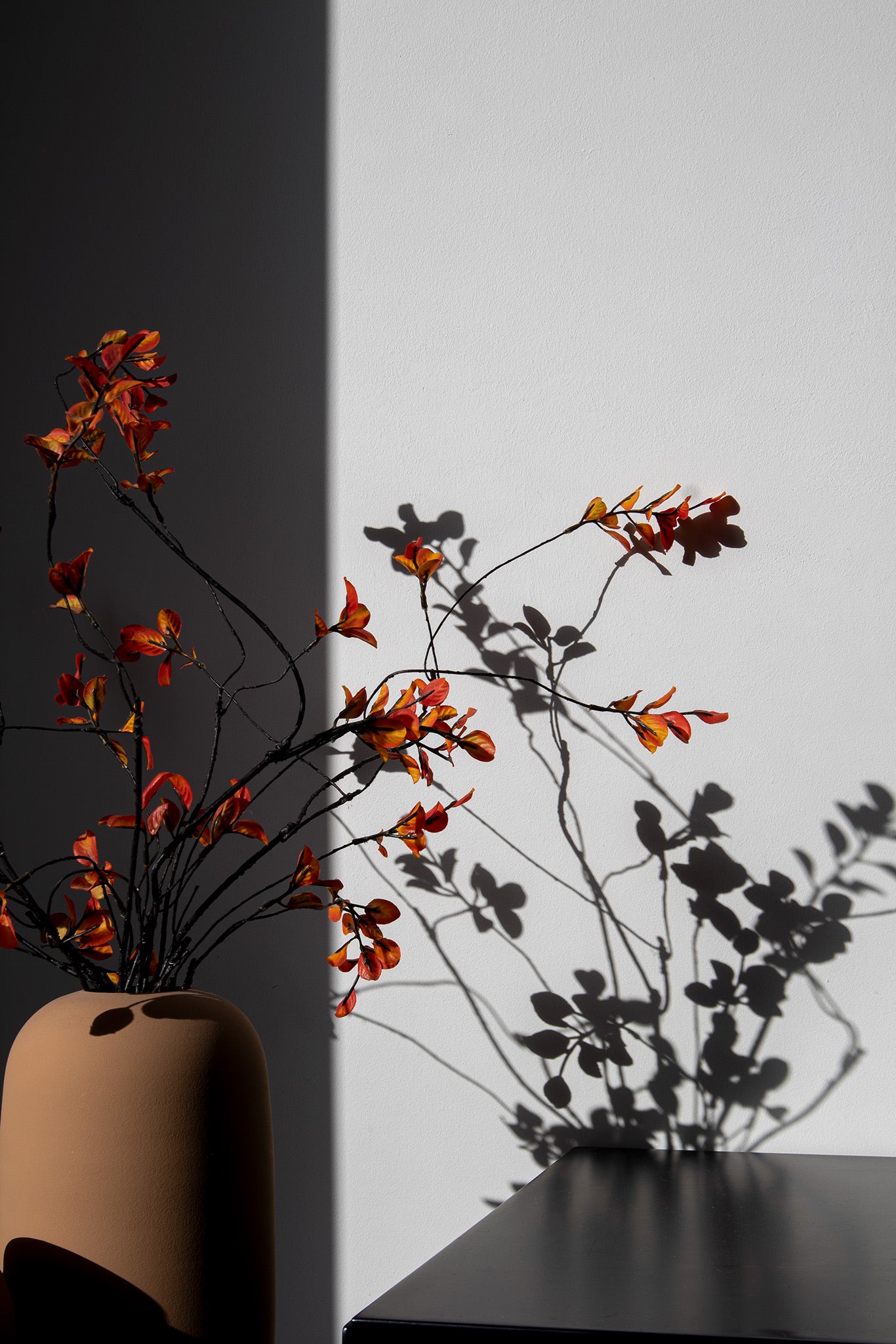 Herfsttakken | Bloesem