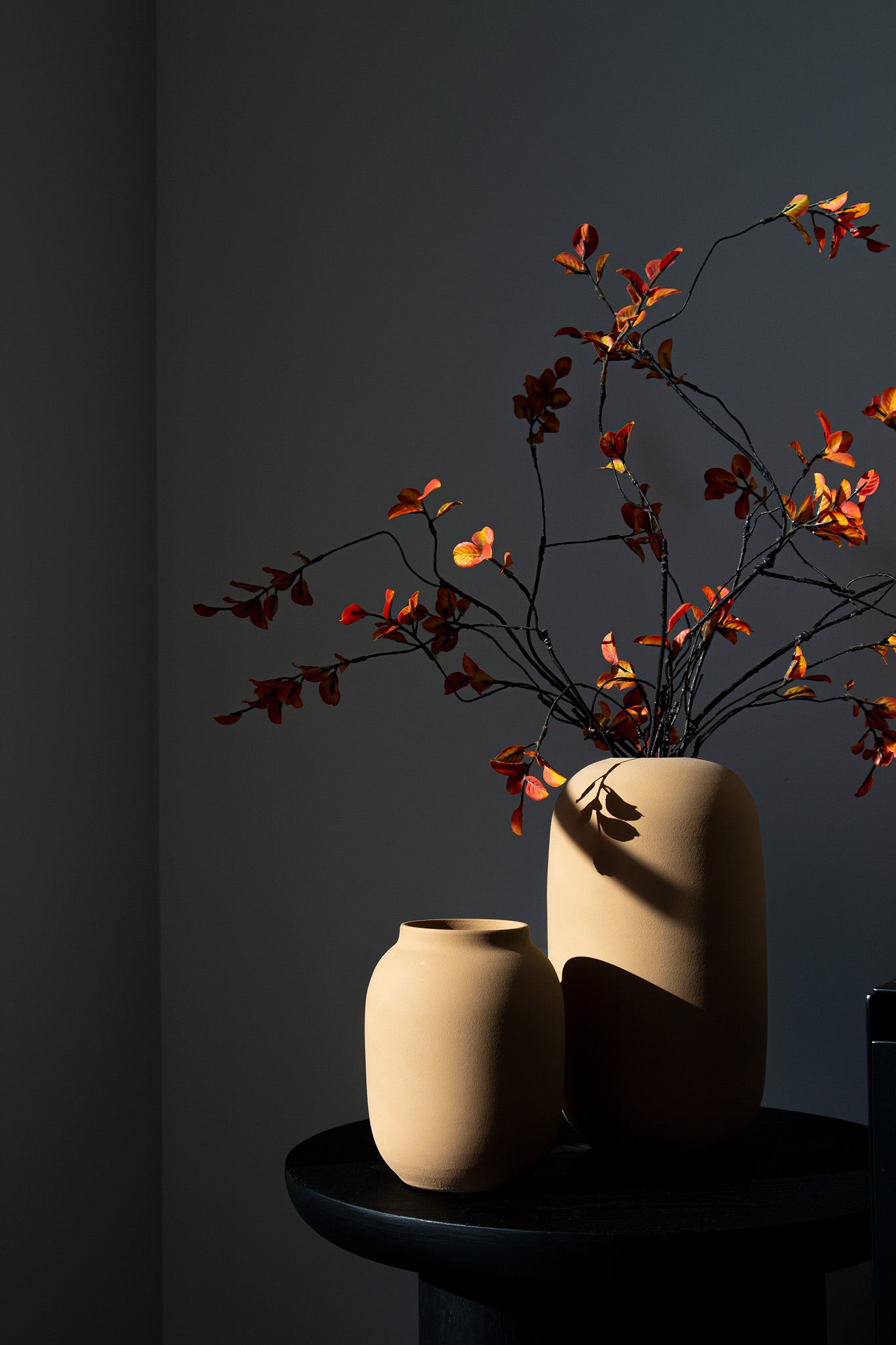 Herfsttakken | Bloesem